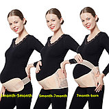 Корсет бандаж для беременных Belly Brace 4 в 1, фото 4